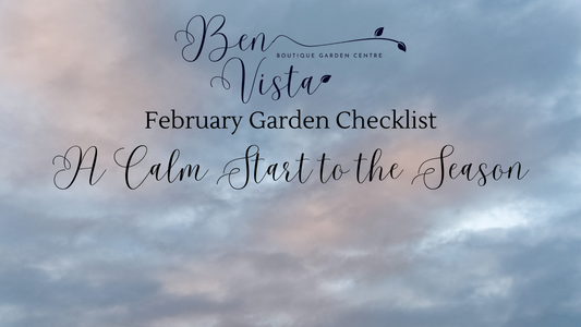 February Garden Checklist: A Calm Start to the Season